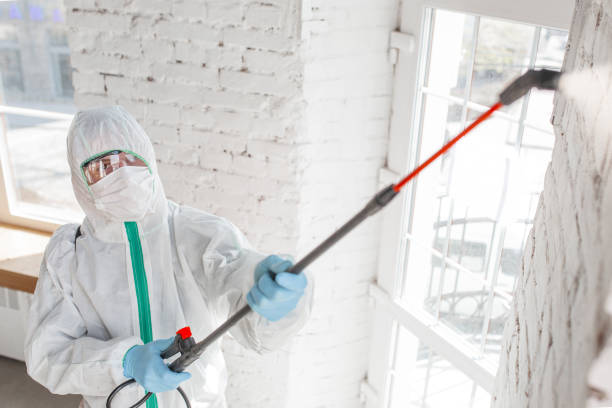 Best Indoor Air Quality Assessment  in Pine Bush, NY