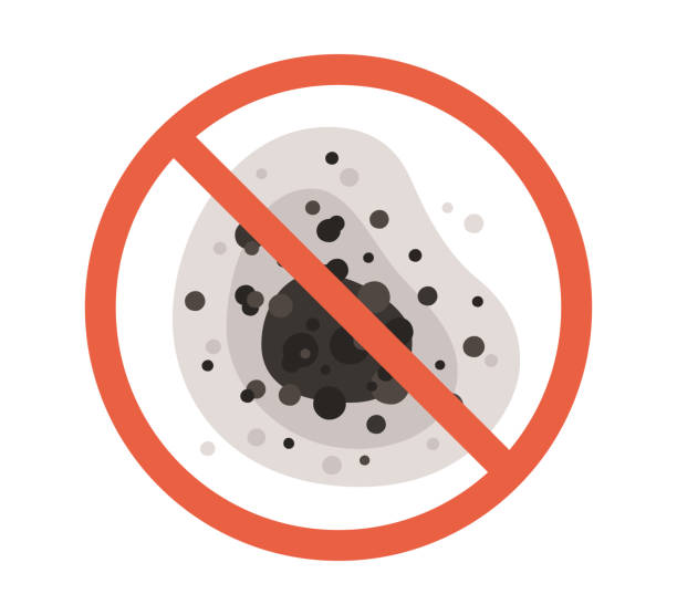 Best Mold Prevention Services  in Pine Bush, NY