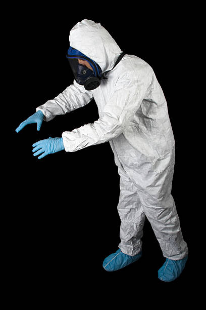 Mold Documentation for Insurance Claims in Pine Bush, NY