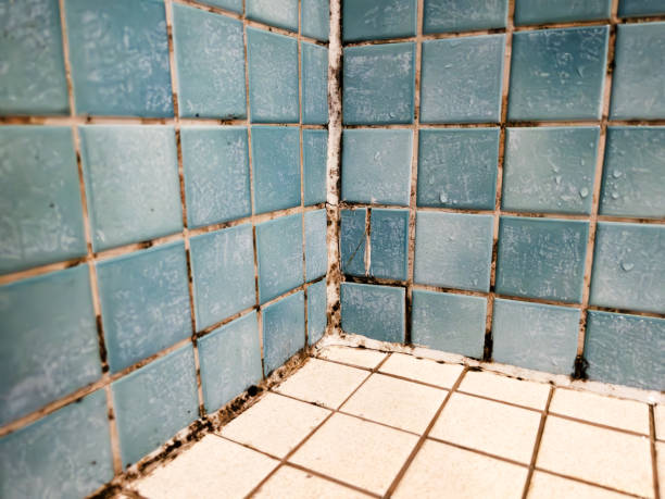 Best Airborne Mold Testing  in Pine Bush, NY